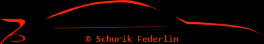 SACHVERSTÄNDIGENBÜRO FÜR DAS KRAFTFAHRZEUGWESEN FEDERLIN